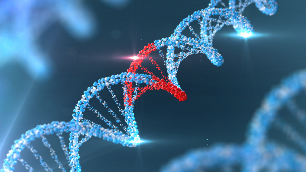New Disease Discovered by HHNS Researcher Gets OMIM Recognition Human